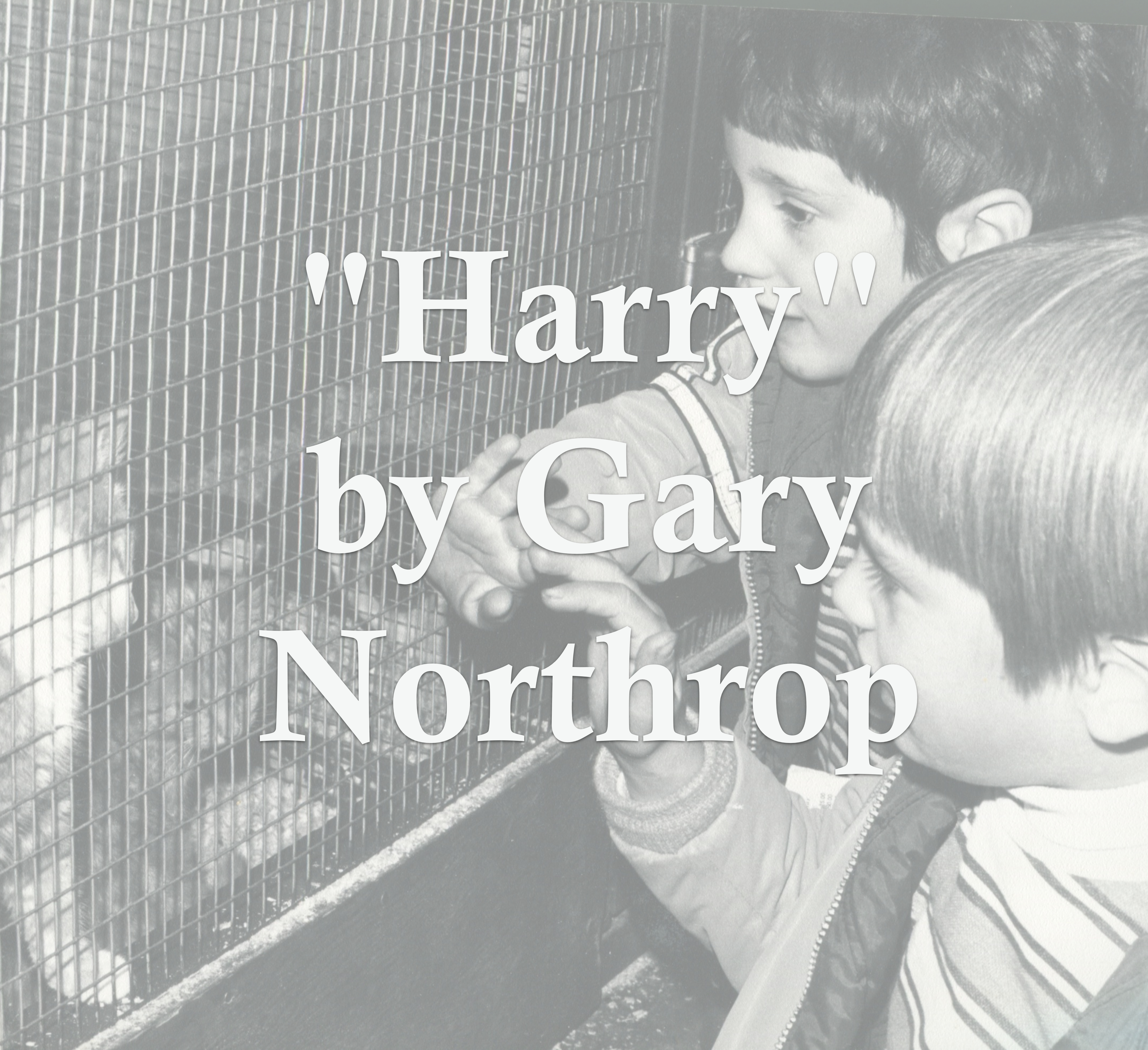 Harry The Hamster (1972)