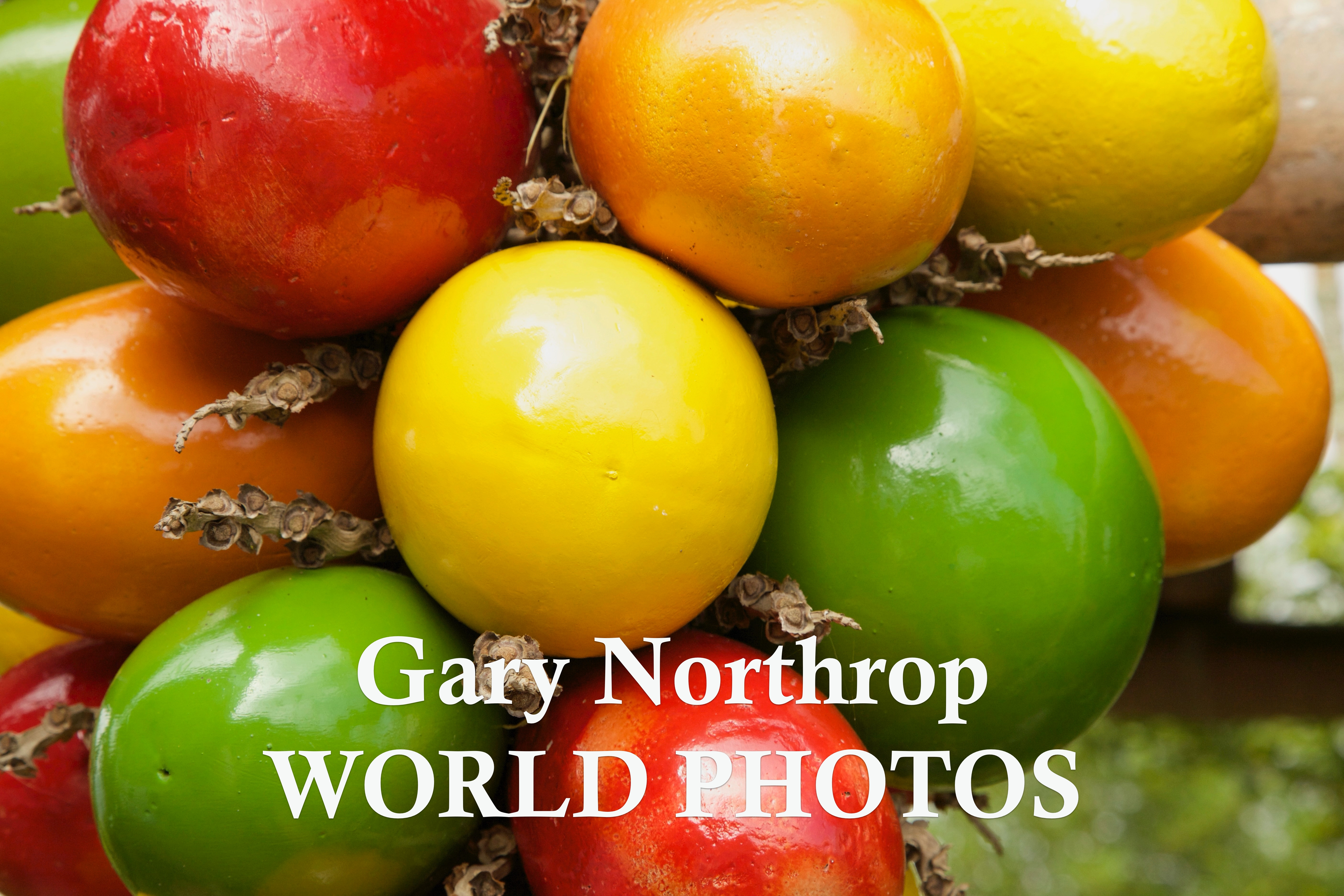 Gary World Photos